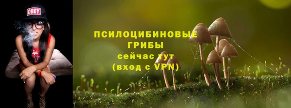 крисы Няндома